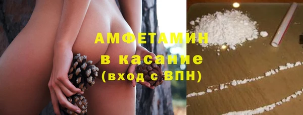 молекула духа Горнозаводск