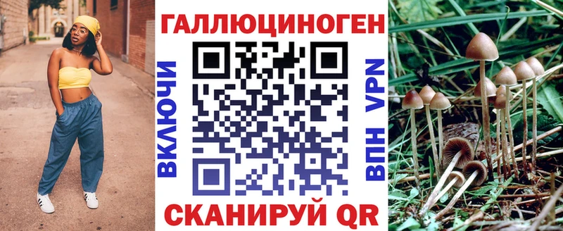 Галлюциногенные грибы Psilocybine cubensis  Купить  Буинск 